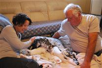 Click for large image