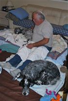 Click for large image