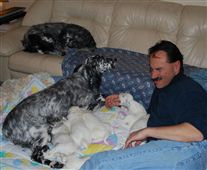 Click for large image