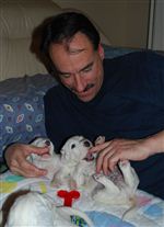 Click for large image