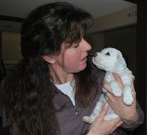 Click for large image