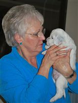 Click for large image