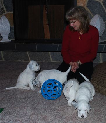 Click for large image