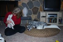 Click for large image