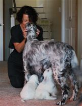 Click for large image