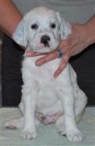 Click for large image