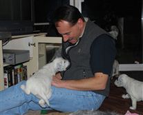 Click for large image