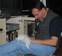 Click for large image