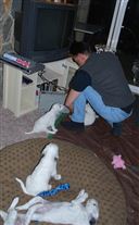 Click for large image