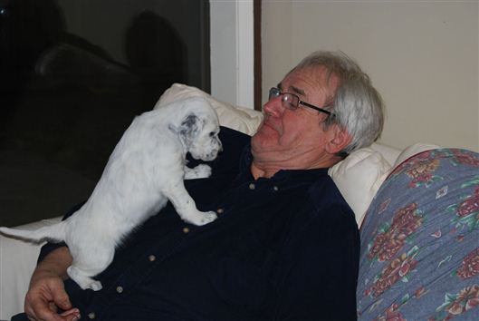 Click for large image