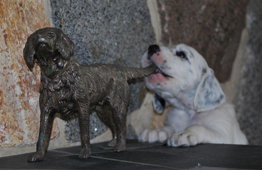 Click for large image