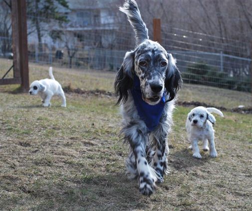 Click for large image