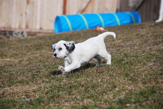 Click for large image