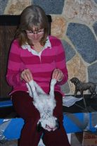 Click for large image