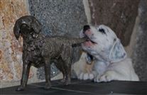 Click for large image