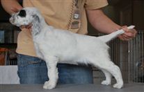 Click for large image