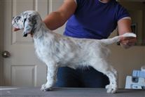 Click for large image