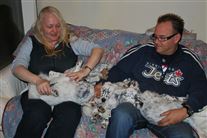 Click for large image