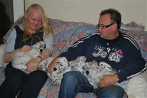 Click for large image