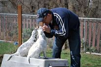 Click for large image