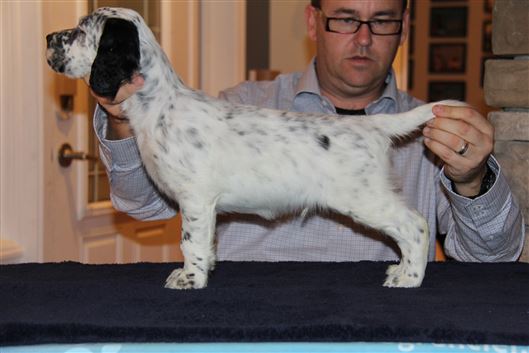 Click for large image