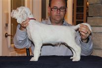 Click for large image