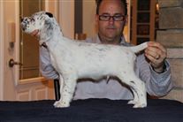 Click for large image