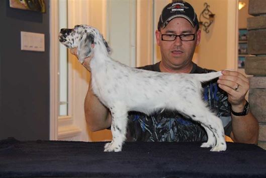 Click for large image