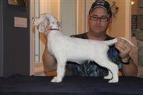 Click for large image