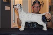 Click for large image