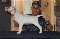 Click for large image