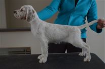 Click for large image