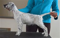 Click for large image