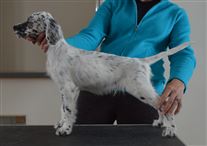 Click for large image