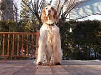 Click for large image