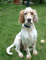 Click for large image