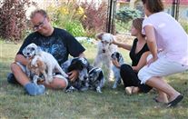 Click for large image