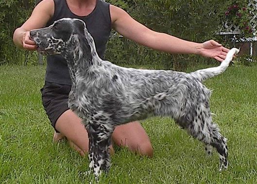 Click for large image