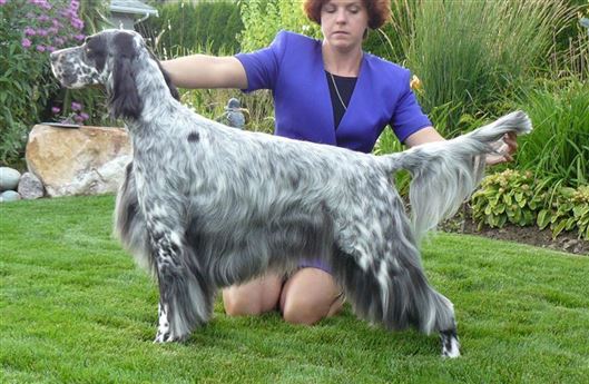 Click for large image