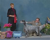 Click for large image