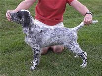 Click for large image