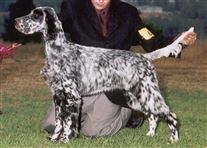 Click for large image