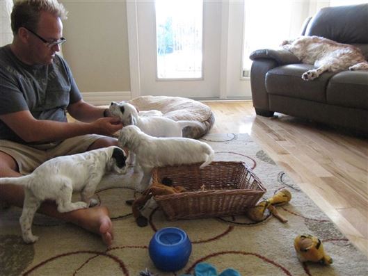 Click for large image