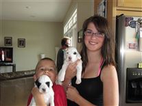 Click for large image