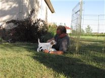 Click for large image