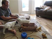 Click for large image