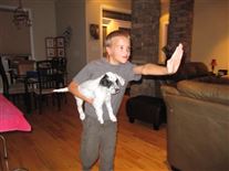 Click for large image