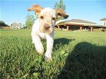 Click for large image