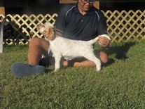 Click for large image