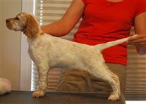 Click for large image